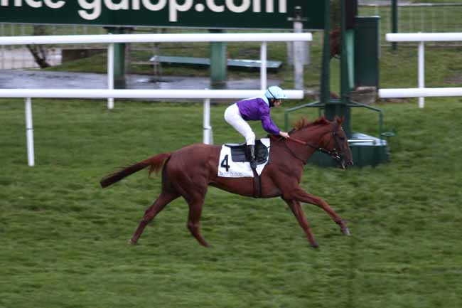 Arrivée quinté pmu PRIX LOISIR à SAINT-CLOUD