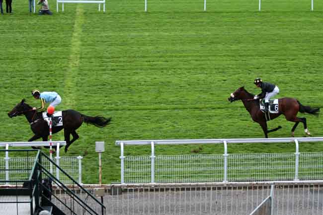 Arrivée quinté pmu PRIX TAHITI à MAISONS-LAFFITTE