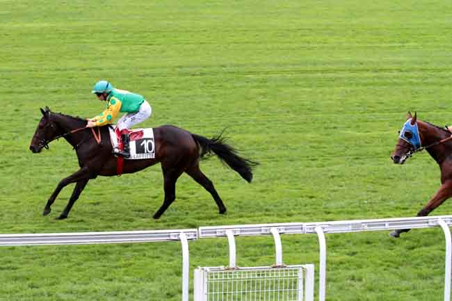 Arrivée quinté pmu PRIX DE CARRIERES-SOUS-BOIS à MAISONS-LAFFITTE