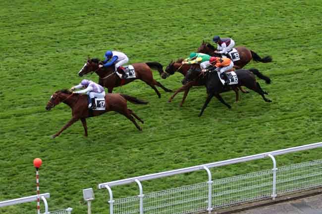 Arrivée quinté pmu PRIX DU CERCLE DE LA GLOIRE à MAISONS-LAFFITTE