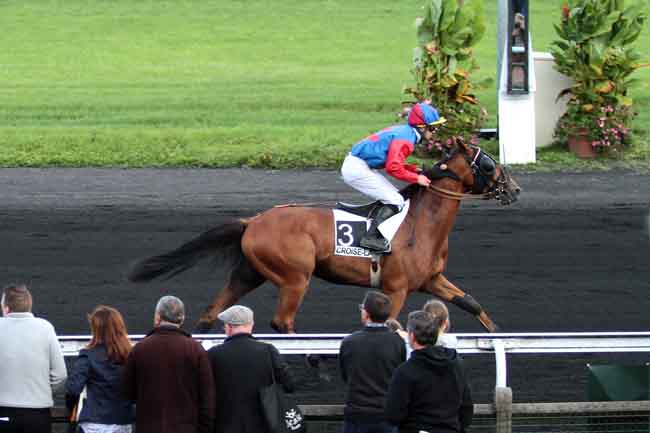 Arrivée quinté pmu PRIX DU TOUQUET à LE CROISE-LAROCHE