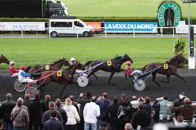 Arrivée quinté pmu PRIX DU JOURNAL ''LA VOIX DU NORD'' à LE CROISE-LAROCHE