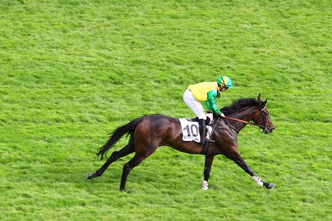 Arrivée quinté pmu PRIX SAPIN à AUTEUIL