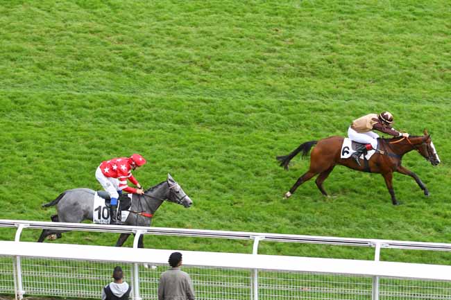 Arrivée quinté pmu PRIX DE COYE à AUTEUIL