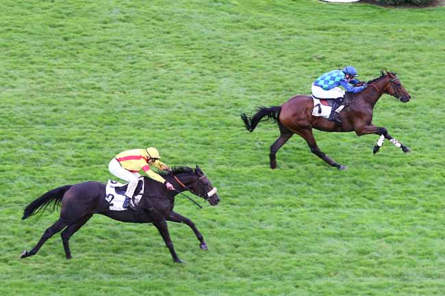 Arrivée quinté pmu PRIX MELI MELO à AUTEUIL