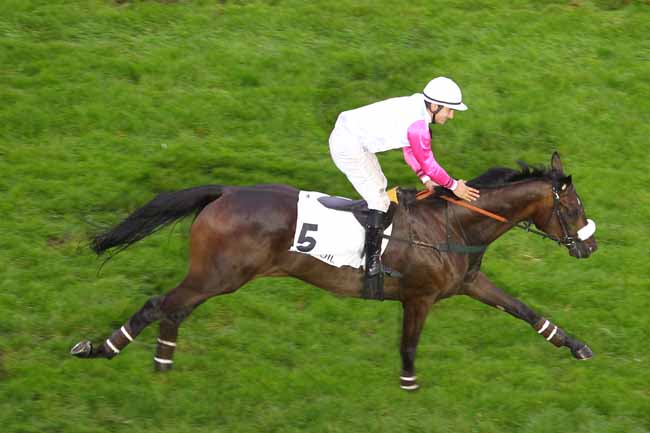 Arrivée quinté pmu PRIX PATRICK LEC à AUTEUIL