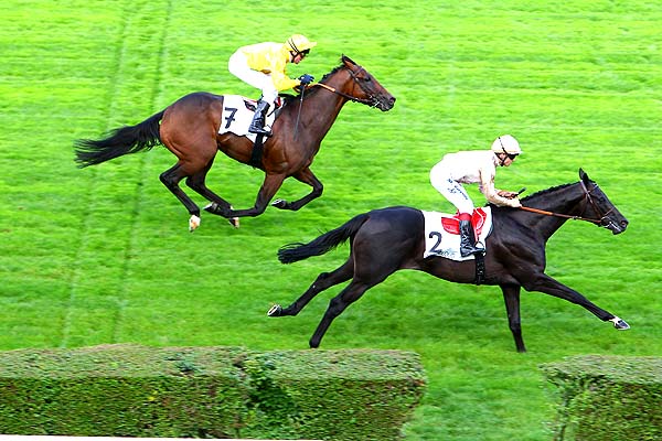 Arrivée quinté pmu PRIX TURENNE à SAINT-CLOUD