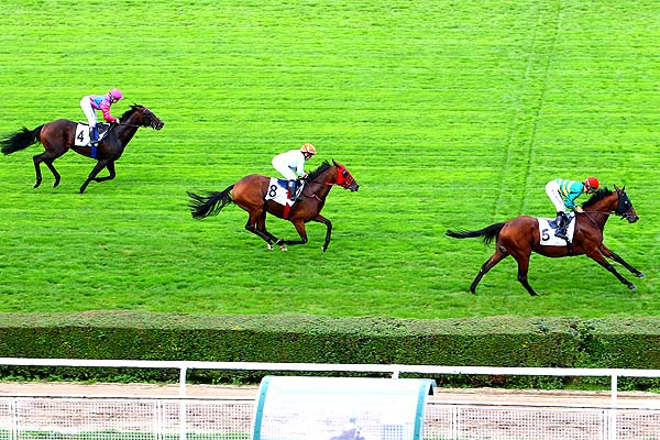 Arrivée quinté pmu PRIX DE MARNES-LA-COQUETTE à SAINT-CLOUD