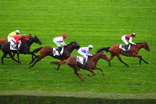 Arrivée quinté pmu PRIX VAL DE LOIR à SAINT-CLOUD