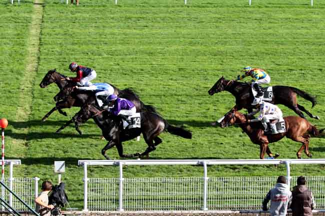 Arrivée quinté pmu PRIX DE LAMBALLE à MAISONS-LAFFITTE