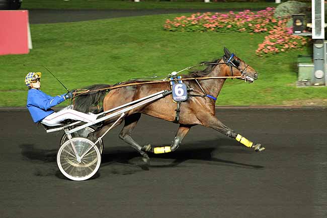 Arrivée quinté pmu PRIX BRUNA à PARIS-VINCENNES