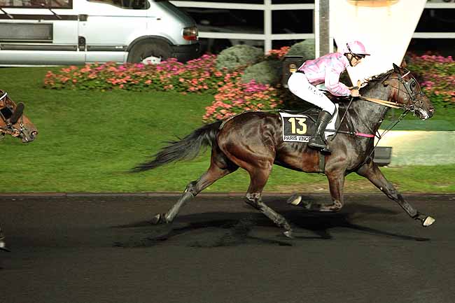 Arrivée quinté pmu PRIX HYDRUS à PARIS-VINCENNES