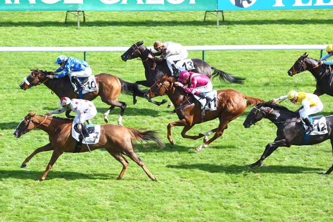 Arrivée quinté pmu PRIX D'AUTOMNE - FONDS EUROPEEN DE L'ELEVAGE à LONGCHAMP