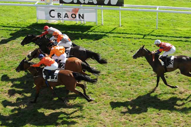 Arrivée quinté pmu PRIX DU CHENE DE CRAON à CRAON