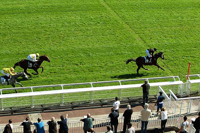 Arrivée quinté pmu PRIX ROBERT LEJEUNE à AUTEUIL