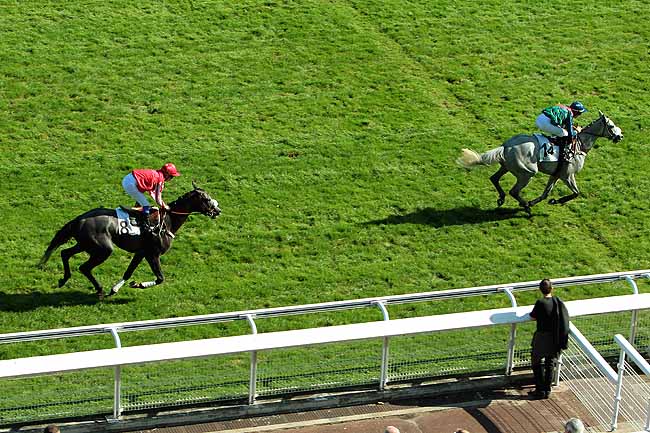 Arrivée quinté pmu PRIX ISOPANI à AUTEUIL