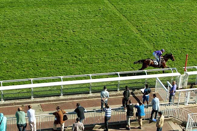 Arrivée quinté pmu PRIX HUNORISK à AUTEUIL
