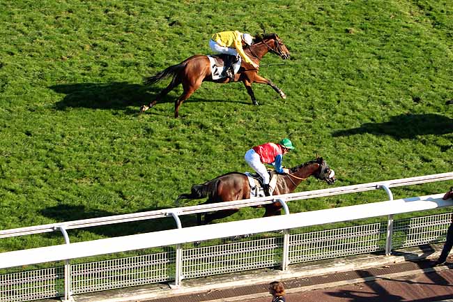 Arrivée quinté pmu PRIX LE GOURZY à AUTEUIL
