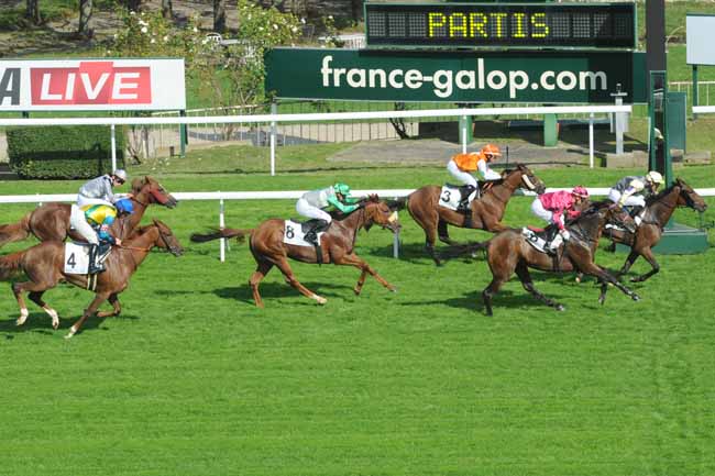 Arrivée quinté pmu PRIX DUC D'ALBURQUERQUE à SAINT-CLOUD