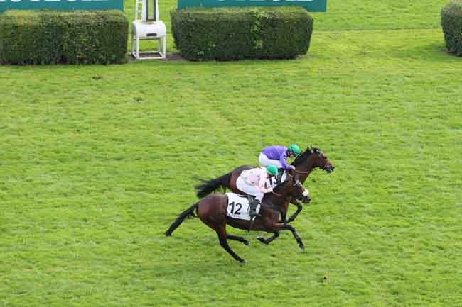 Arrivée quinté pmu PRIX PETIT FONTAINE à AUTEUIL