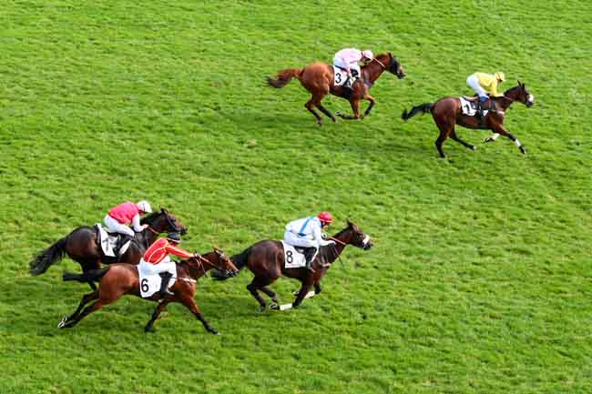 Arrivée quinté pmu PRIX GRANDLIEU à AUTEUIL