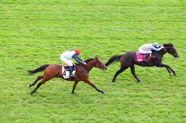 Arrivée quinté pmu PRIX GUILLAUME DE PRACOMTAL à AUTEUIL