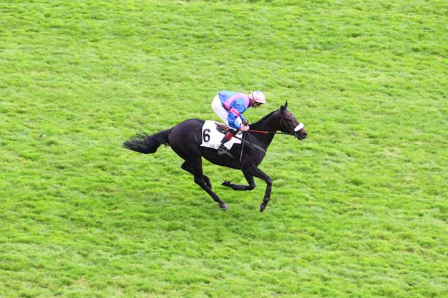 Arrivée quinté pmu PRIX VIVIENNE à AUTEUIL