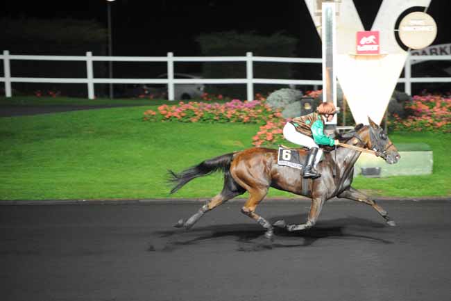 Arrivée quinté pmu PRIX HONORIA à PARIS-VINCENNES