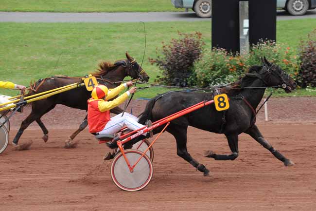 Arrivée quinté pmu PRIX CARREFOUR FEURS à FEURS