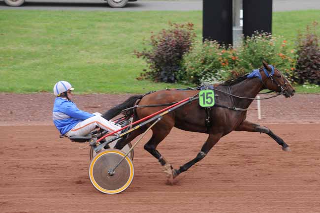 Arrivée quinté pmu PRIX DE LA VILLE DE FEURS à FEURS