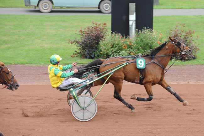 Arrivée quinté pmu PRIX MICHOLET METALLERIE (GR B) à FEURS
