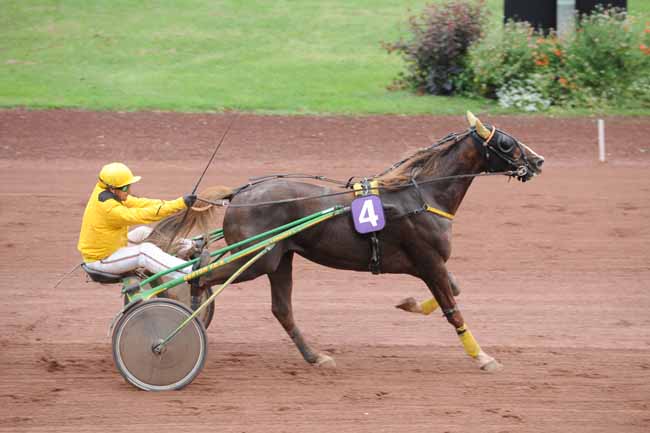 Arrivée quinté pmu PRIX A.S.S.E. à FEURS