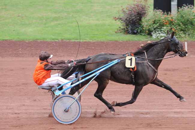 Arrivée quinté pmu PRIX SELPRO à FEURS