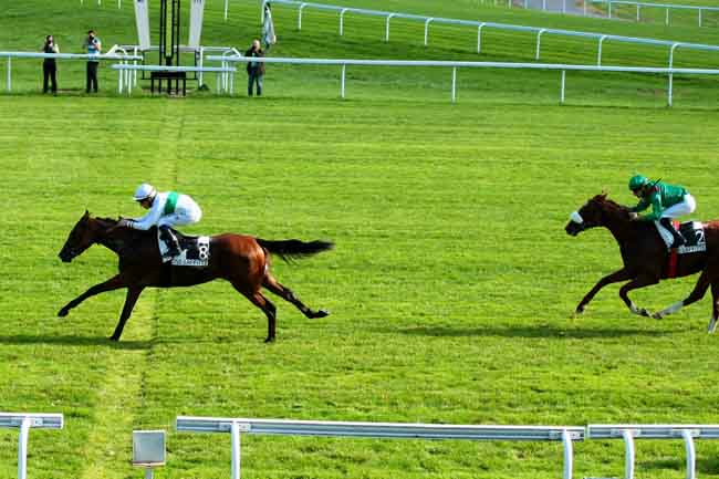 Arrivée quinté pmu PRIX LE FABULEUX à MAISONS-LAFFITTE