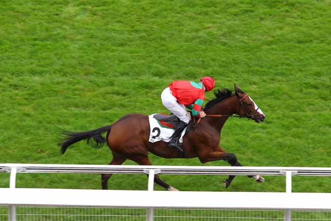 Arrivée quinté pmu PRIX MAGNE à AUTEUIL