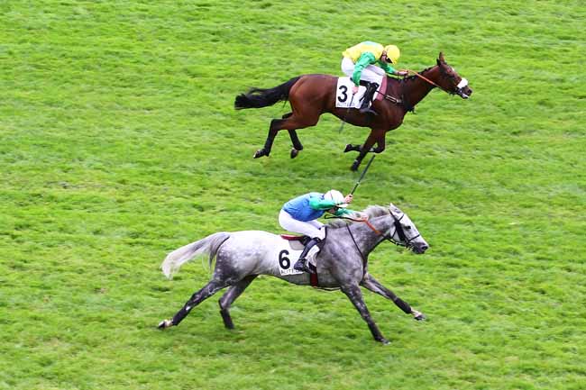 Arrivée quinté pmu PRIX CLAUDE LE LORRAIN à AUTEUIL
