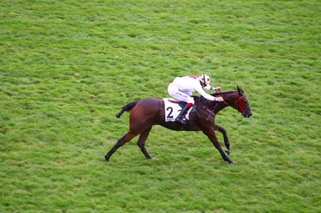 Arrivée quinté pmu PRIX GERARD PHILIPPEAU à AUTEUIL