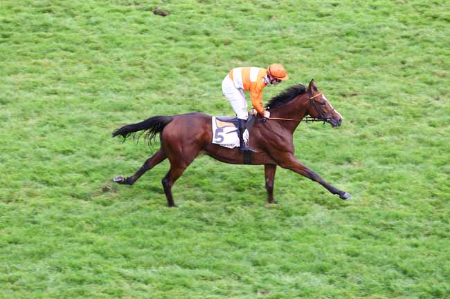 Arrivée quinté pmu PRIX HIPPARQUE à AUTEUIL