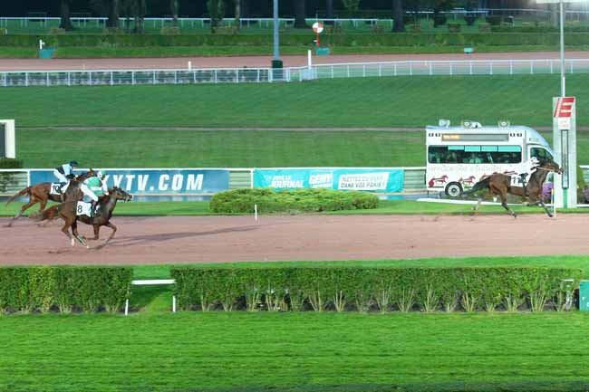 Arrivée quinté pmu PRIX DE MAURON à ENGHIEN