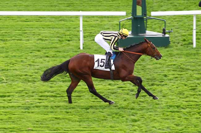 Arrivée quinté pmu PRIX DE BUZENVAL à SAINT-CLOUD