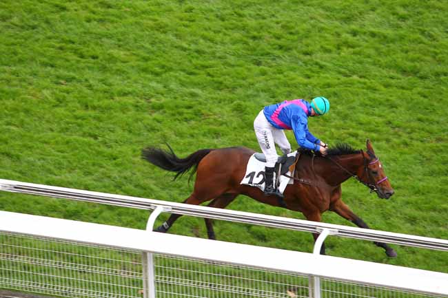Arrivée quinté pmu PRIX JACK BARBE à AUTEUIL
