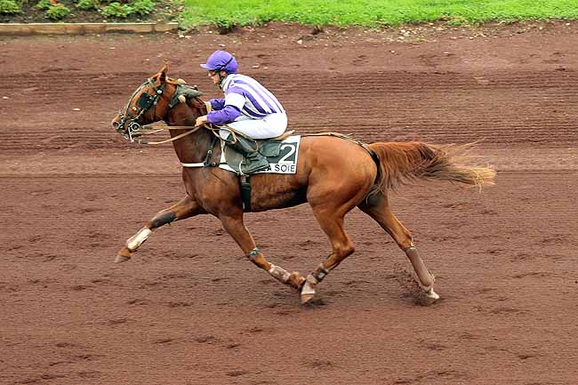 Arrivée quinté pmu PRIX DE MARSEILLE à LYON LA SOIE