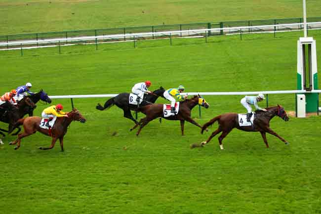 Arrivée quinté pmu PRIX DE LA VIEILLE ROUTE à LONGCHAMP