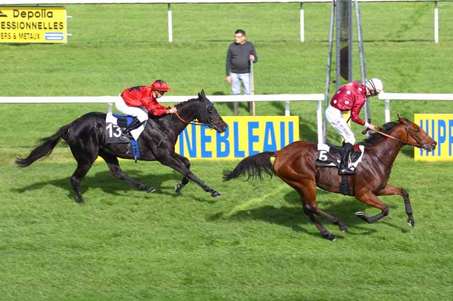 Arrivée quinté pmu PRIX ROLAND FOUGEDOIRE à FONTAINEBLEAU