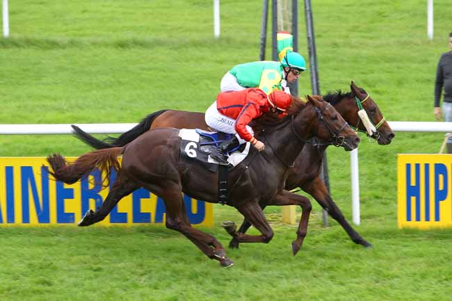 Arrivée quinté pmu PRIX DES CONIFERES à FONTAINEBLEAU