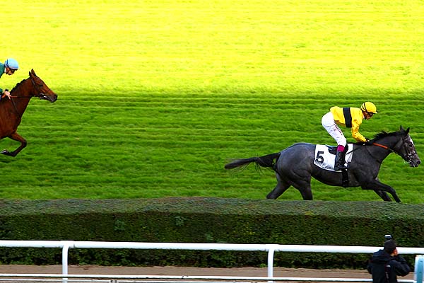 Arrivée quinté pmu PRIX MAJINSKAYA à SAINT-CLOUD