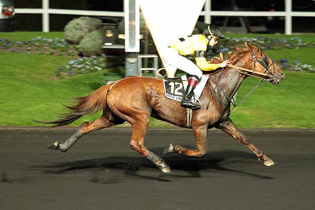 Arrivée quinté pmu PRIX EUTERPE à PARIS-VINCENNES