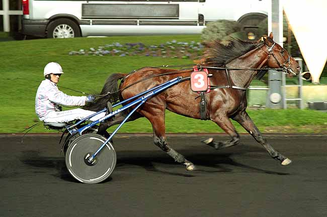 Arrivée quinté pmu PRIX CYRENE à PARIS-VINCENNES