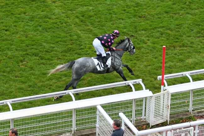 Arrivée quinté pmu PRIX DE L'AISNE à AUTEUIL