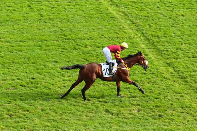 Arrivée quinté pmu PRIX PRINCE D'ECOUEN à AUTEUIL